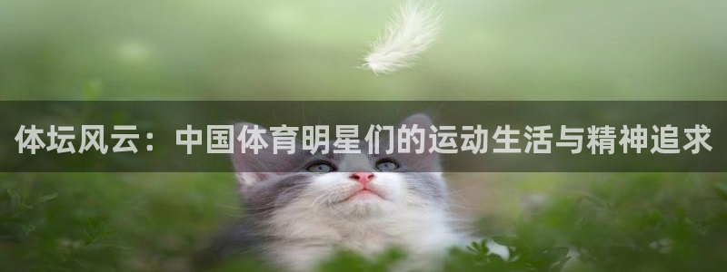 体坛风云：中国体育明星们的运动生活与精神追求