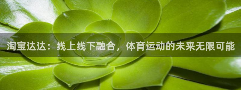 淘宝达达：线上线下融合，体育运动的未来无限可能