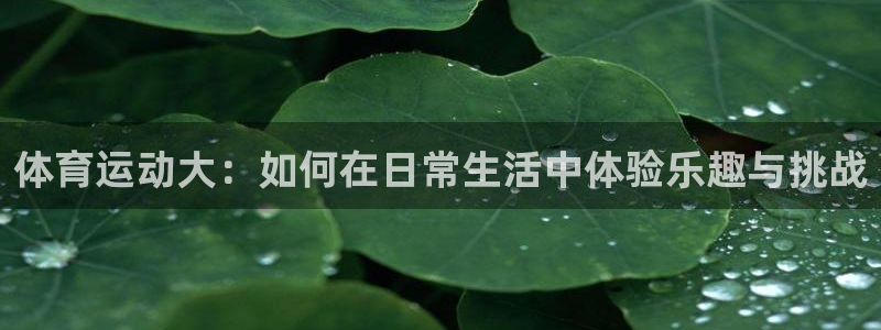 体育运动大：如何在日常生活中体验乐趣与挑战