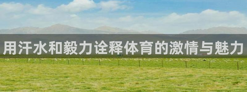 用汗水和毅力诠释体育的激情与魅力