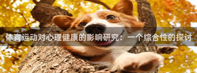 体育运动对心理健康的影响研究：一个综合性的探讨