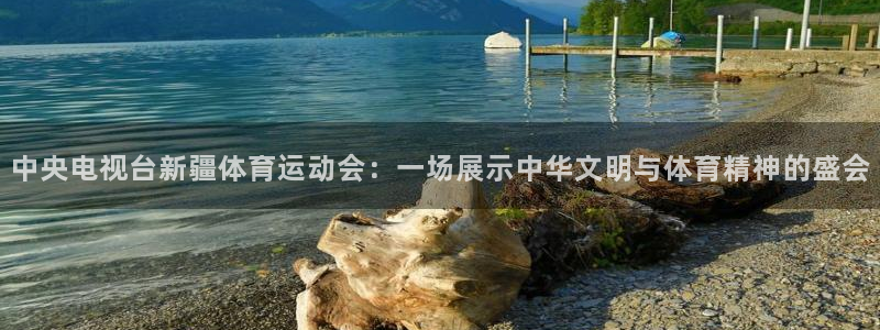 中央电视台新疆体育运动会：一场展示中华文明与体育精神的盛会