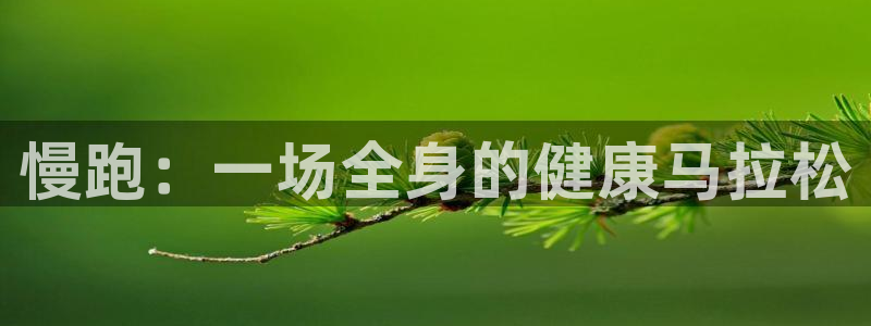 慢跑：一场全身的健康马拉松