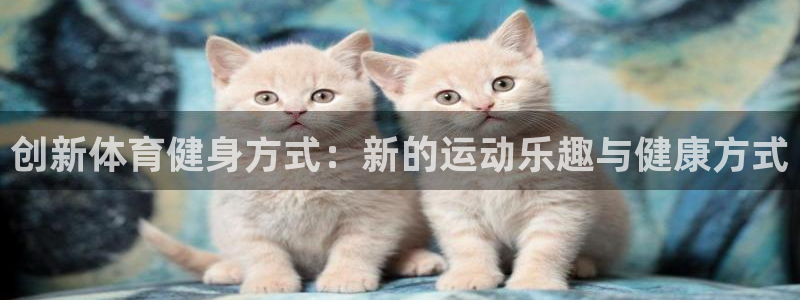 创新体育健身方式：新的运动乐趣与健康方式