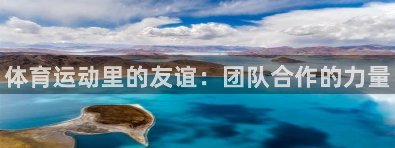 体育运动里的友谊：团队合作的力量