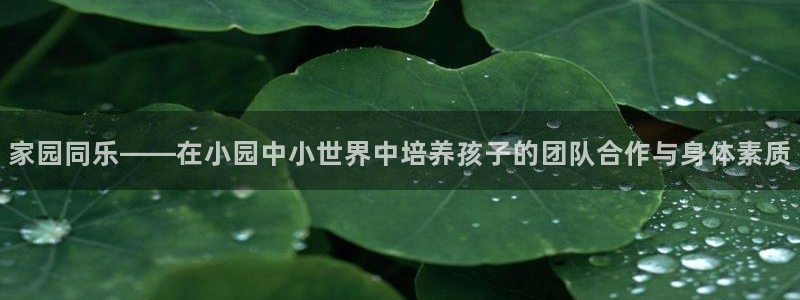 家园同乐——在小园中小世界中培养孩子的团队合作与身体素质