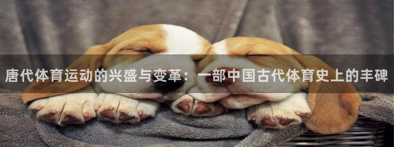 唐代体育运动的兴盛与变革：一部中国古代体育史上的丰碑