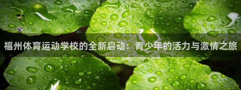 福州体育运动学校的全新启动：青少年的活力与激情之旅