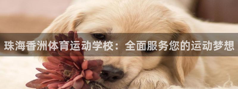 珠海香洲体育运动学校：全面服务您的运动梦想