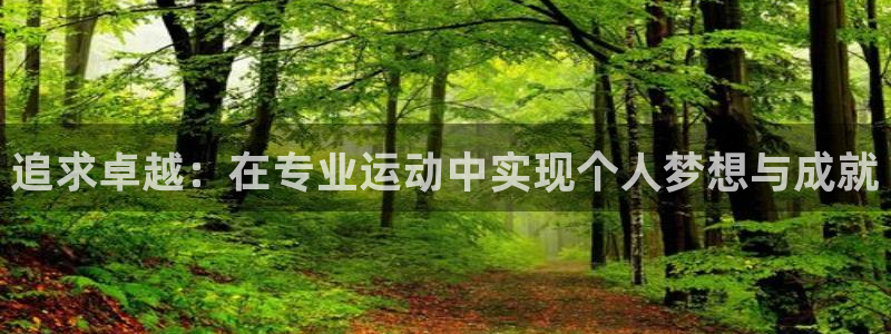 追求卓越：在专业运动中实现个人梦想与成就