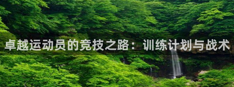 卓越运动员的竞技之路：训练计划与战术