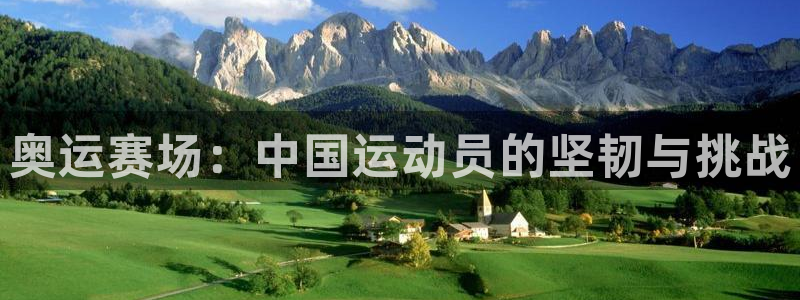 奥运赛场：中国运动员的坚韧与挑战
