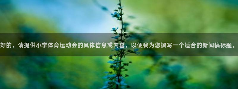 好的，请提供小学体育运动会的具体信息或内容，以便我为您撰写一个适合的新闻稿标题。