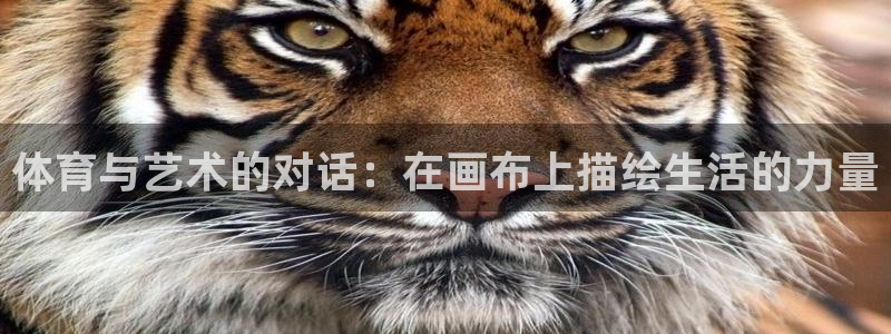 体育与艺术的对话：在画布上描绘生活的力量