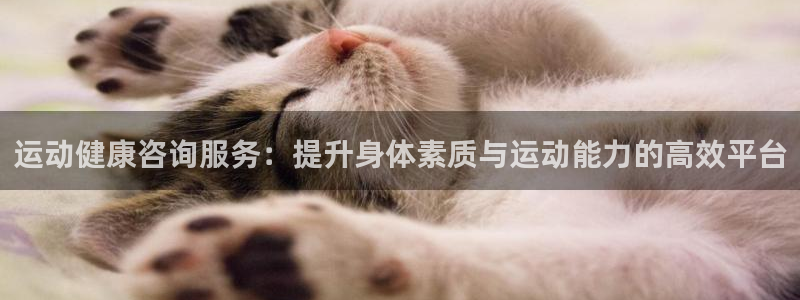 运动健康咨询服务：提升身体素质与运动能力的高效平台