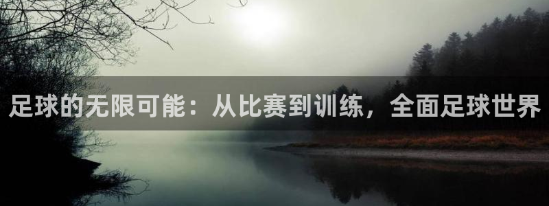 足球的无限可能：从比赛到训练，全面足球世界