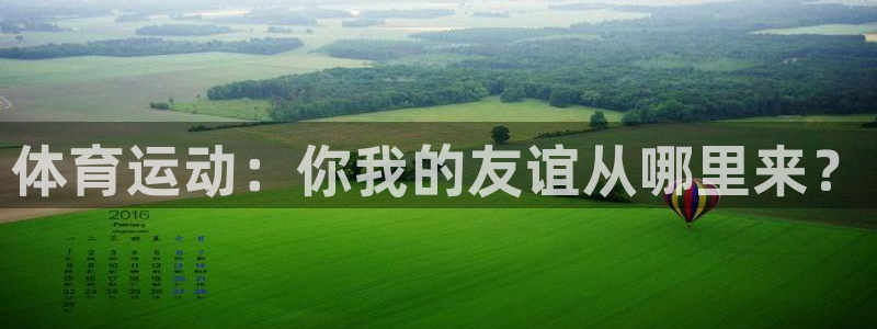 体育运动：你我的友谊从哪里来？