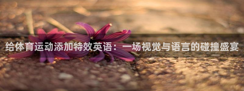 给体育运动添加特效英语：一场视觉与语言的碰撞盛宴