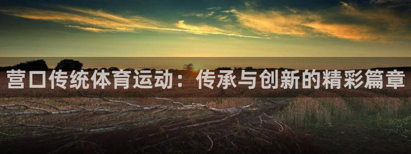营口传统体育运动：传承与创新的精彩篇章
