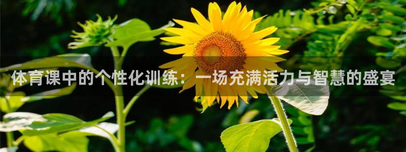体育课中的个性化训练：一场充满活力与智慧的盛宴