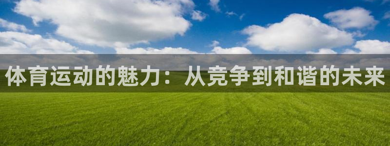 体育运动的魅力：从竞争到和谐的未来