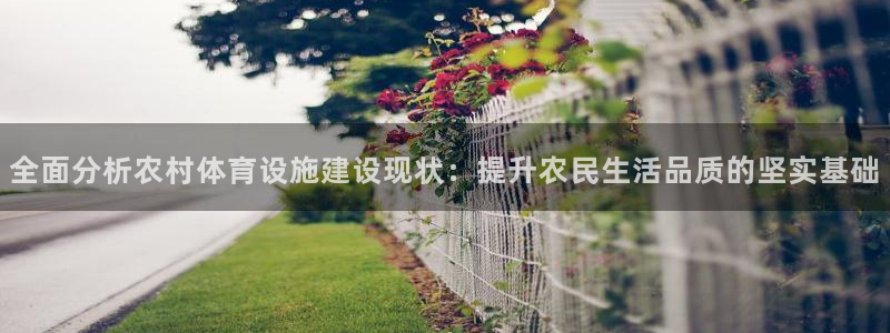 全面分析农村体育设施建设现状：提升农民生活品质的坚实基础