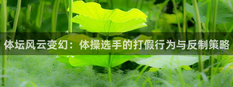 体坛风云变幻：体操选手的打假行为与反制策略
