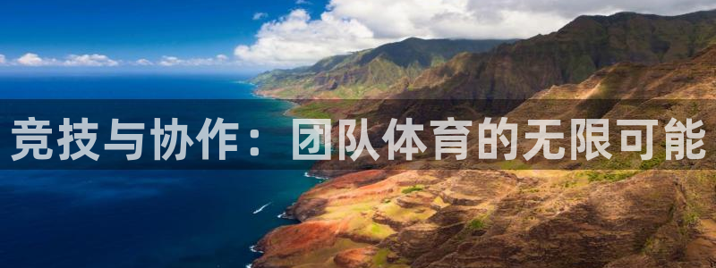 竞技与协作：团队体育的无限可能