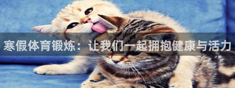 寒假体育锻炼：让我们一起拥抱健康与活力