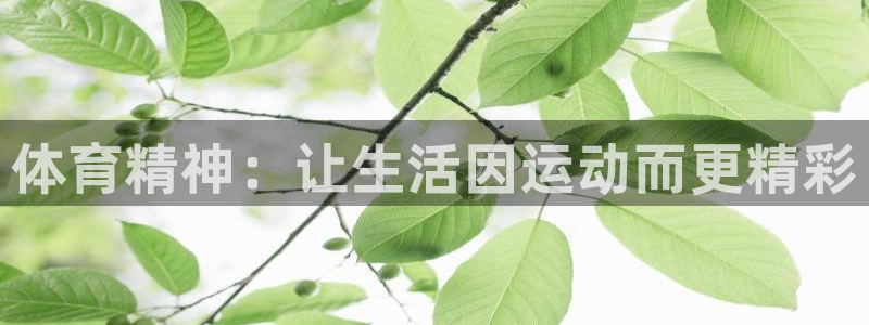 体育精神：让生活因运动而更精彩