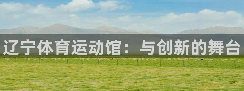 辽宁体育运动馆：与创新的舞台