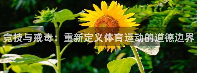 竞技与戒毒：重新定义体育运动的道德边界