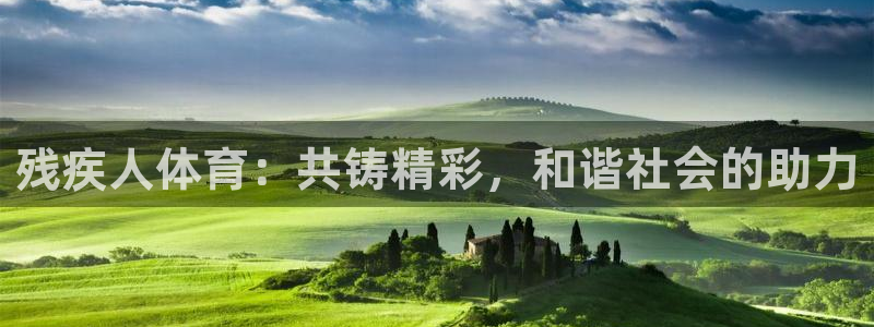 残疾人体育：共铸精彩，和谐社会的助力