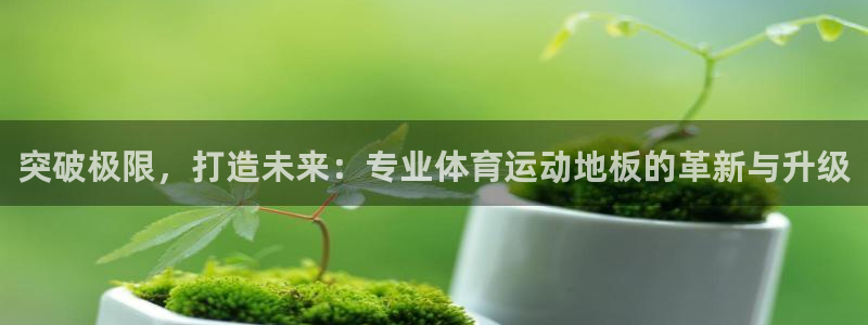 突破极限，打造未来：专业体育运动地板的革新与升级