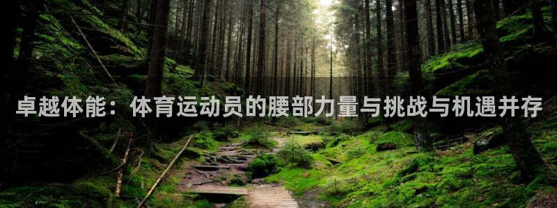 卓越体能：体育运动员的腰部力量与挑战与机遇并存